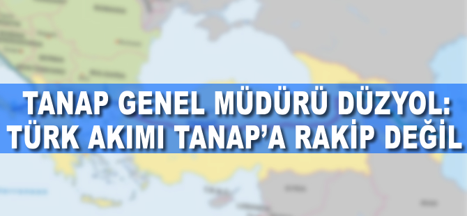 TANAP Genel Müdürü Düzyol: Türk Akımı TANAP'a rakip değil