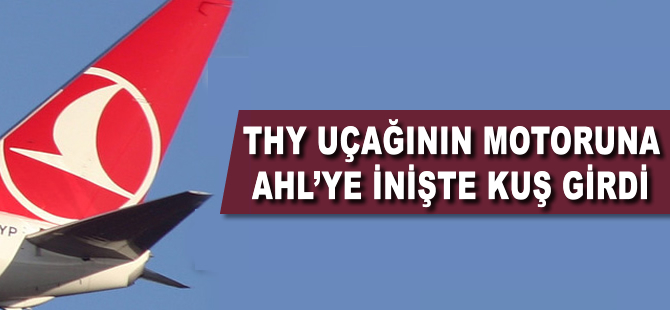 THY uçağının motoruna AHL'ye inişte kuş girdi