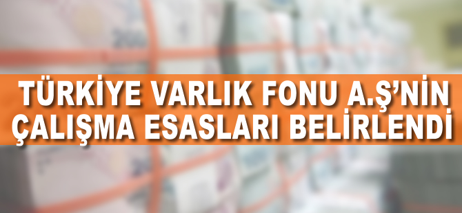 Türkiye Varlık Fonu Yönetimi AŞ'nin çalışma esasları belirlendi