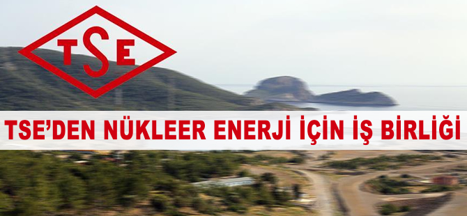 TSE'den nükleer enerji için iş birliği