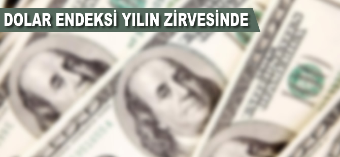 Dolar endeksi yılın zirvesinde