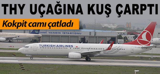 THY uçağına kuş çarptı