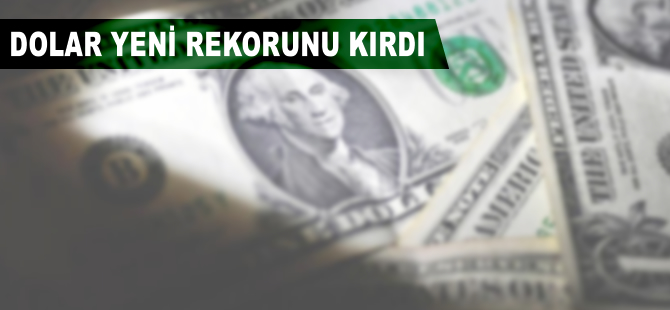 Dolar/TL yeni rekorunu 3,3165'e taşıdı