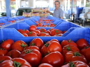 Türk tarımcılara Rusya'dan şartlı 'yeşil ışık'