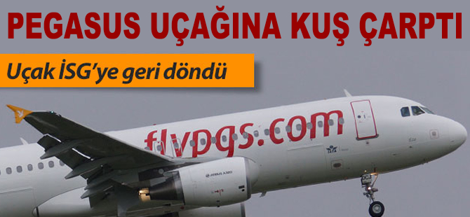 Pegasus uçağı kuşa çarptı