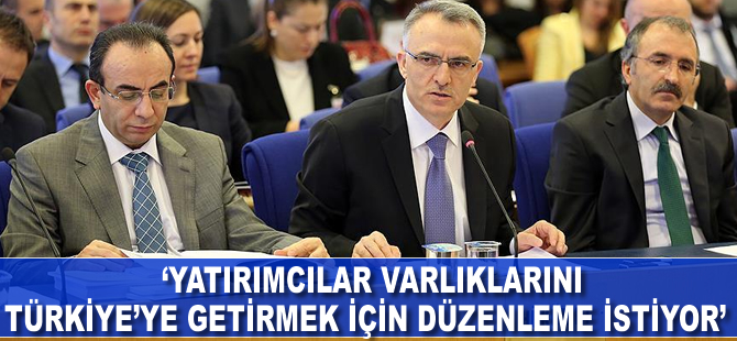 'Yatırımcılar varlıklarını Türkiye'ye getirmek için düzenleme istiyor'