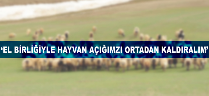 'El birliğiyle hayvan açığımızı ortadan kaldıralım'