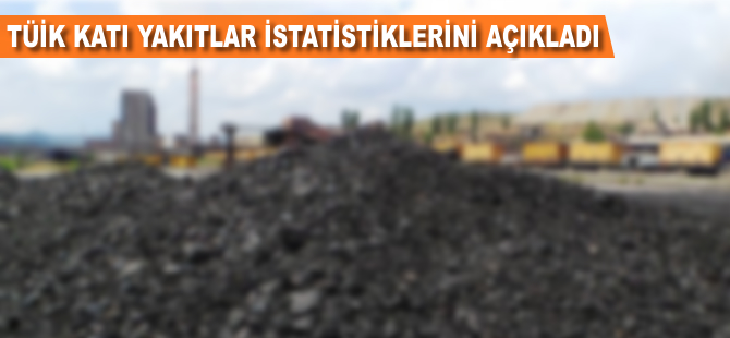 TÜİK katı yakıtlar istatistiklerini açıkladı