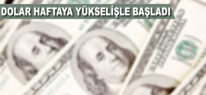 Dolar/TL haftaya yükselişle başladı