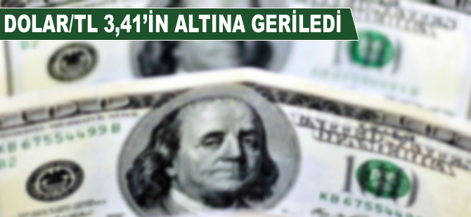 Dolar/TL 3,41'in altına geriledi