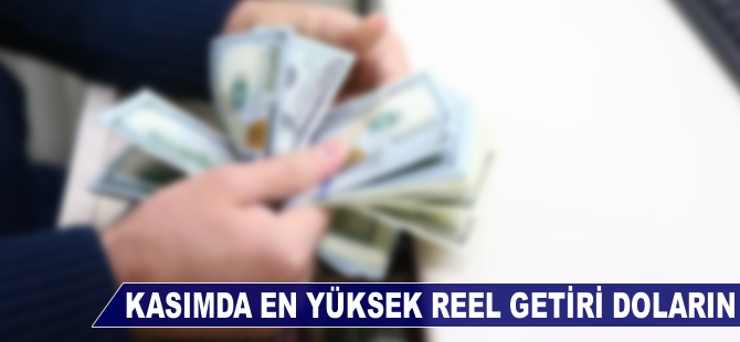 Kasımda en yüksek reel getiri dolardan