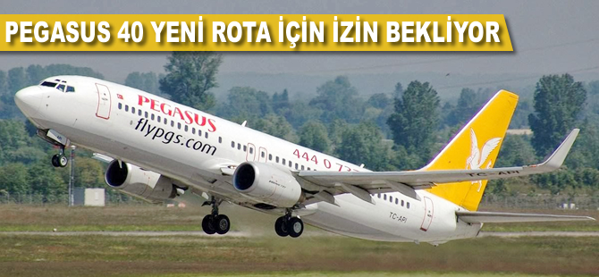 Pegasus 40 yeni rota için izin bekliyor