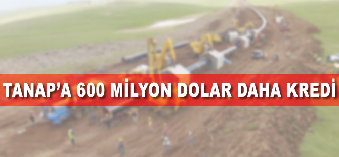 Asya Altyapı Yatırım Bankası'ndan TANAP'a 600 milyon dolar kredi