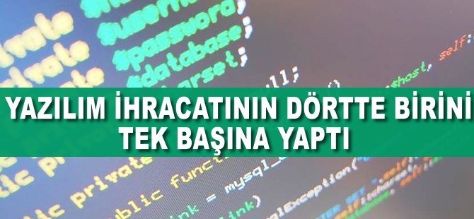 Yazılım ihracatının dörtte birini tek başına yaptı