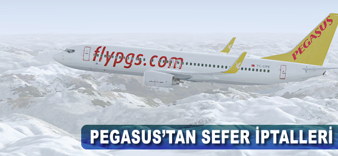 Pegasus Havayolları bazı seferlerini iptal etti