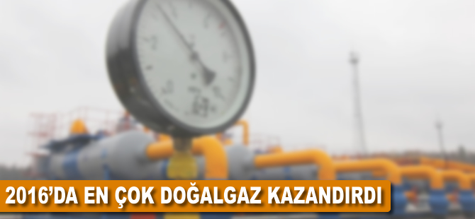 2016’da en çok doğalgaz kazandırdı