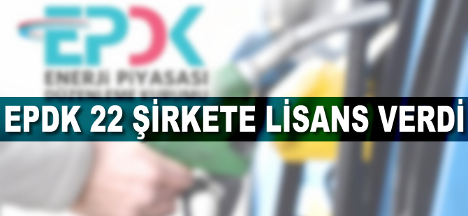 EPDK 22 şirkete lisans verdi