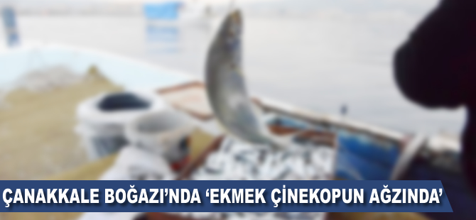 Çanakkale Boğazı'nda "ekmek çinekopun ağzında"