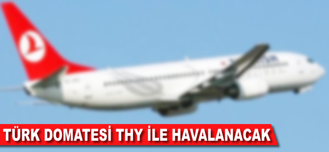 Türk domatesi THY ile havalanacak