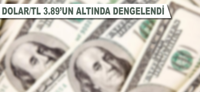 Dolar/TL 3,89'un altında dengelendi