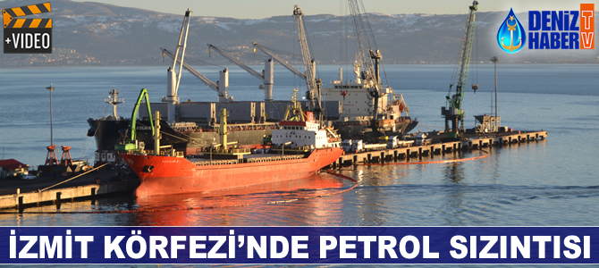 İzmit Körfezi'nde petrol sızıntısı, deniz canlı hayatını tehdit ediyor