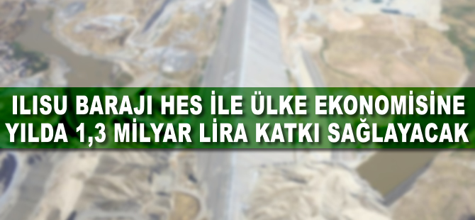 Ilısu Barajı, ülke ekonomisine yılda 1,3 milyar lira katkı sağlayacak