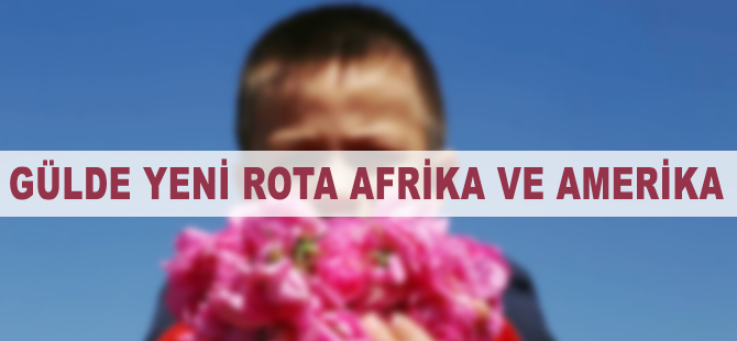 Gülde yeni rota Amerika ve Afrika kıtaları