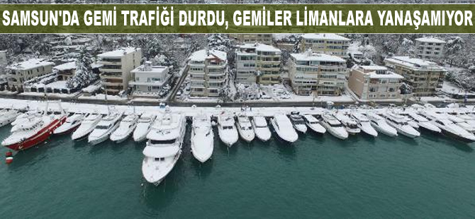 Samsun'da gemi trafiği durdu, gemiler limanlara yanaşamıyor