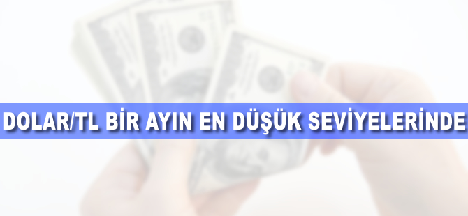 Dolar/TL bir ayın en düşük seviyelerinde