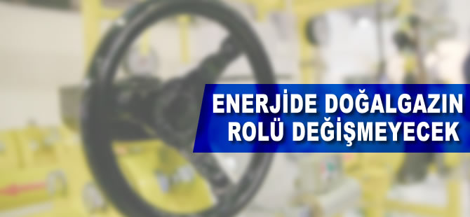 Enerjide doğalgazın rolü değişmeyecek