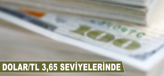 Dolar/TL 3,65 seviyelerinde