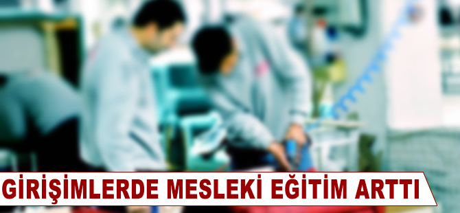 Girişimlerde mesleki eğitim arttı