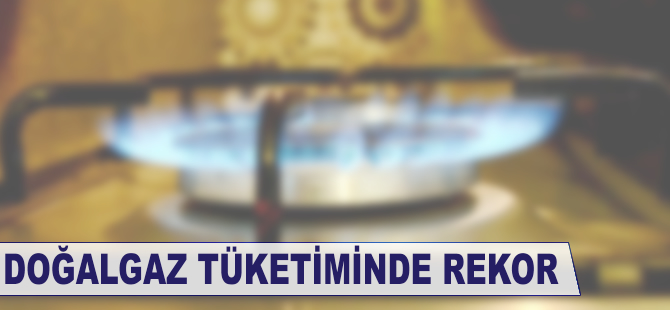 Doğalgaz tüketiminde rekor