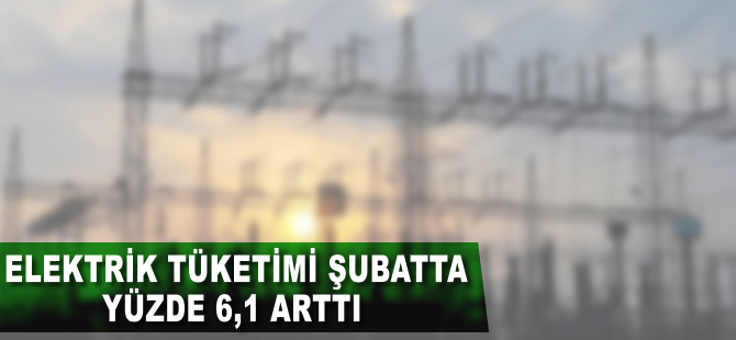 Elektrik tüketimi şubatta yüzde 6,1 arttı