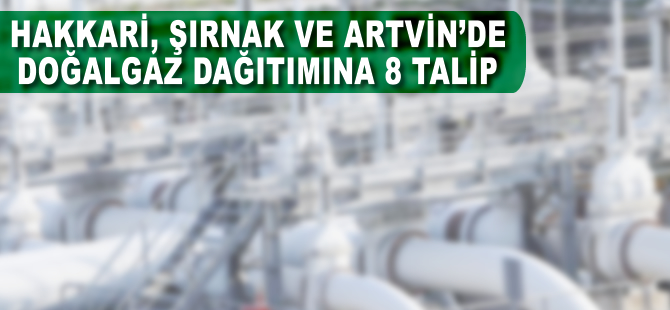 Hakkari, Şırnak ve Artvin'de doğalgaz dağıtımına 8 talip