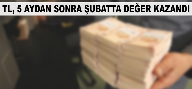 TL, 5 aydan sonra şubatta değer kazandı