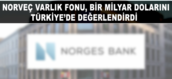 Norveç Varlık Fonu 1 milyar dolarını Türkiye'de değerlendirdi