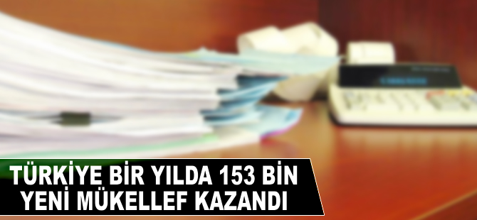 Türkiye bir yılda 153 bin yeni mükellef kazandı