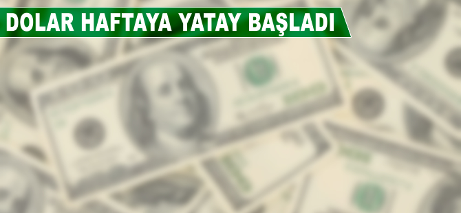 Dolar/TL haftaya yatay başladı