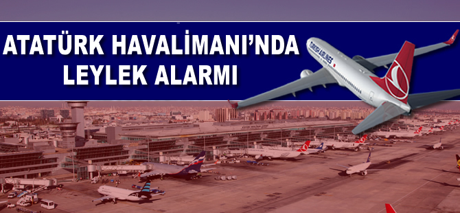 Atatürk Havalimanı'nda leylek alarmı!