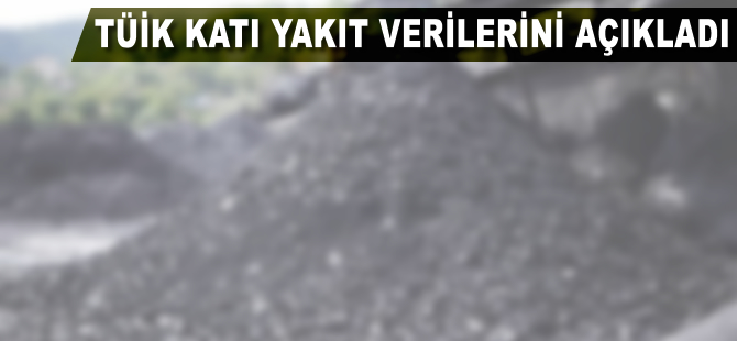 TÜİK katı yakıt verilerini açıkladı