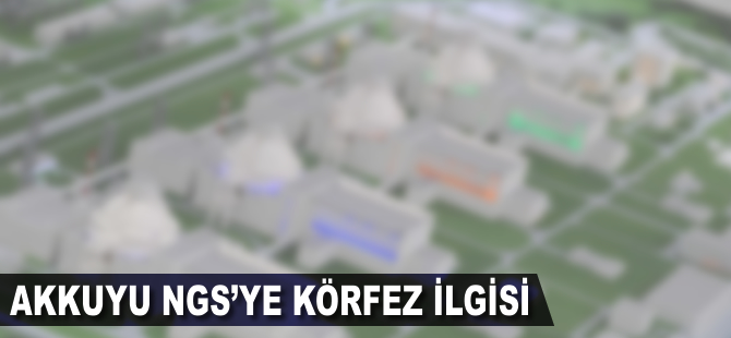 Akkuyu NGS'ye Körfez ilgisi