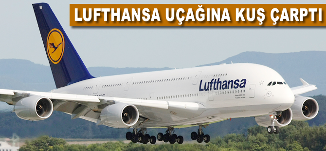 Lufthansa uçağına kuş çarptı, uçakta hasar meydana geldi