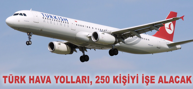 THY 250 kişiyi işe alacak