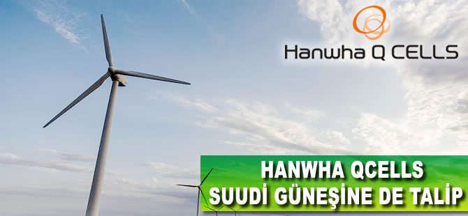 Hanwha Qcells, Suudi güneşine de talip