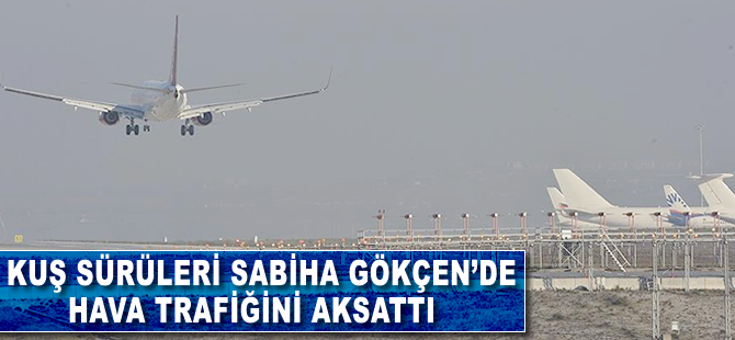 Kuşlar Sabiha Gökçen'de hava trafiğini durdurdu