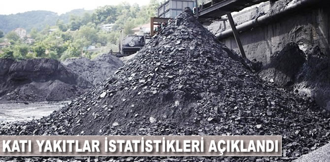 Katı yakıtlar istatistikleri açıklandı