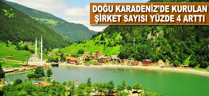 Doğu Karadeniz'de kurulan şirket sayısı yüzde 4 arttı