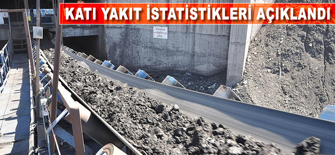 Katı yakıt istatistikleri açıklandı